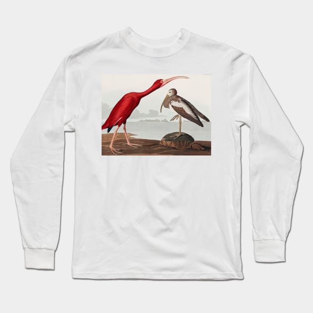 Bird of America  Bird, bird lover, america, beautiful  Public domain painting by John James Audubon Long Sleeve T-Shirt by RosMir